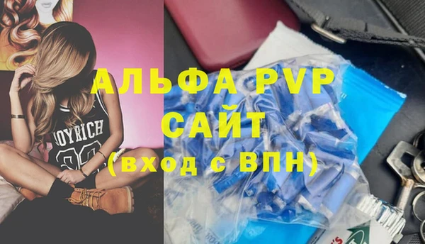 гашик Алексин