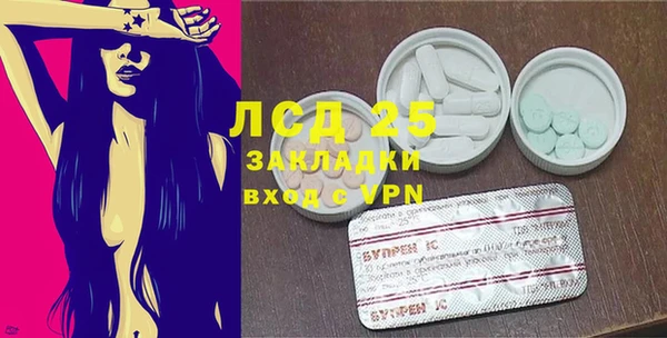 гашик Алексин