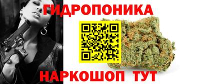 крисы Добрянка
