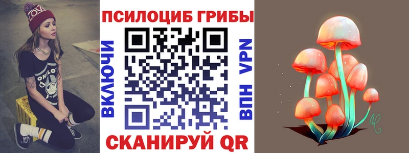 сайты даркнета официальный сайт  Киреевск  Псилоцибиновые грибы Magic Shrooms 