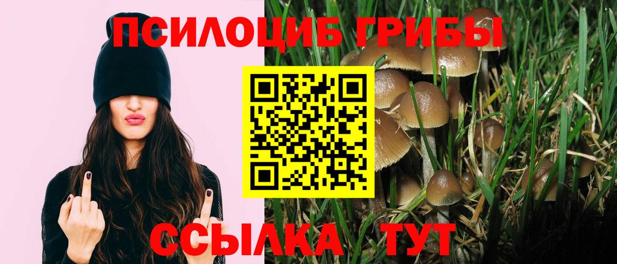 Киреевск  как найти наркотики  Вход с VPN  Галлюциногенные грибы мицелий 