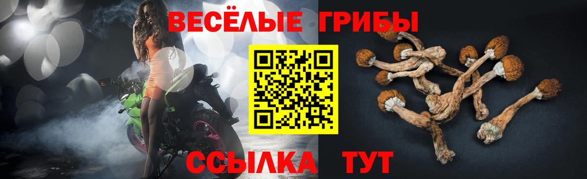 Псилоцибиновые грибы MAGIC MUSHROOMS Киреевск